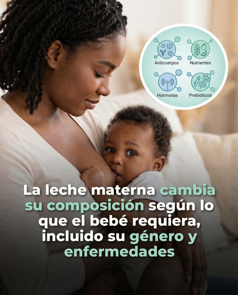 El Milagro de la Lactancia Materna: Cómo el Cuerpo de la Madre se Convierte en un Laboratorio Biológico en Tiempo Real