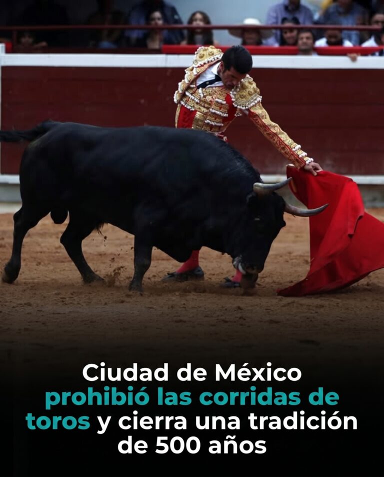 La Ciudad de México transforma las corridas de toros: una tradición de 500 años entra en una nueva era