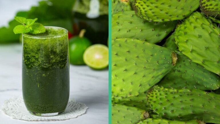 ¿Quieres mejorar tu digestión? Descubre el secreto del jugo de nopal en ayunas.