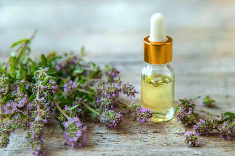 Propiedades del Tomillo: El Aliado Natural para Proteger tu Salud Integral.